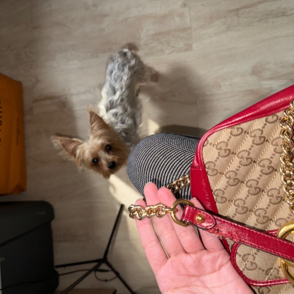 Gucci monogram bag - Picture 8 of 11